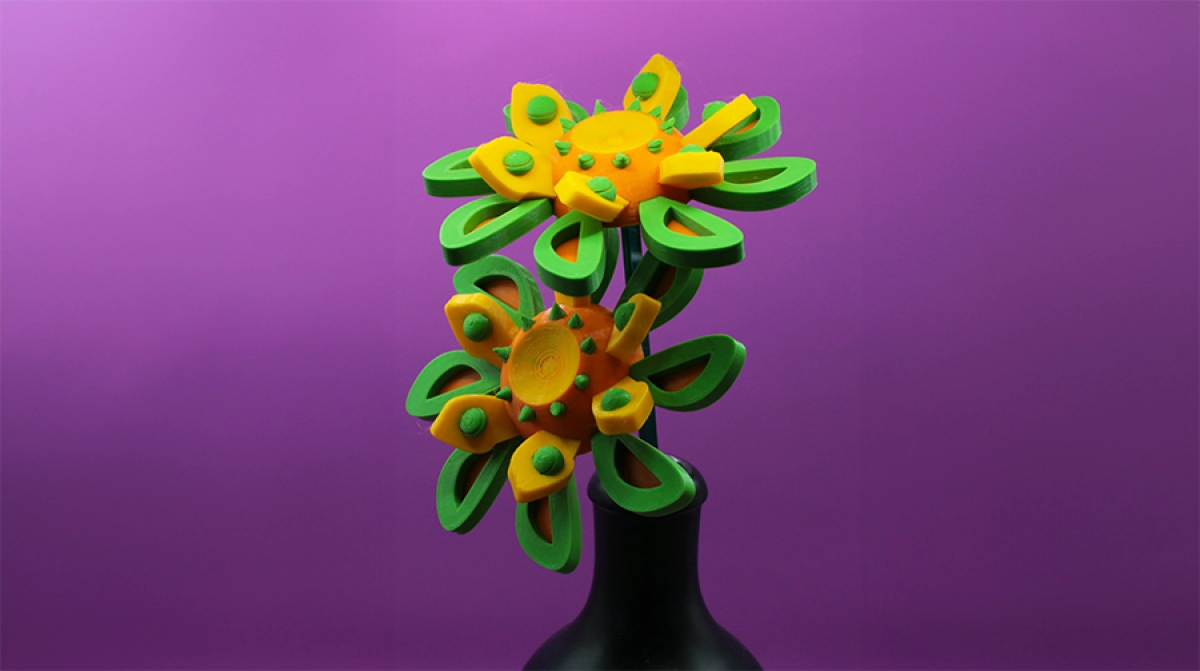 Ontwerp je eigen 3D bloem (8+)